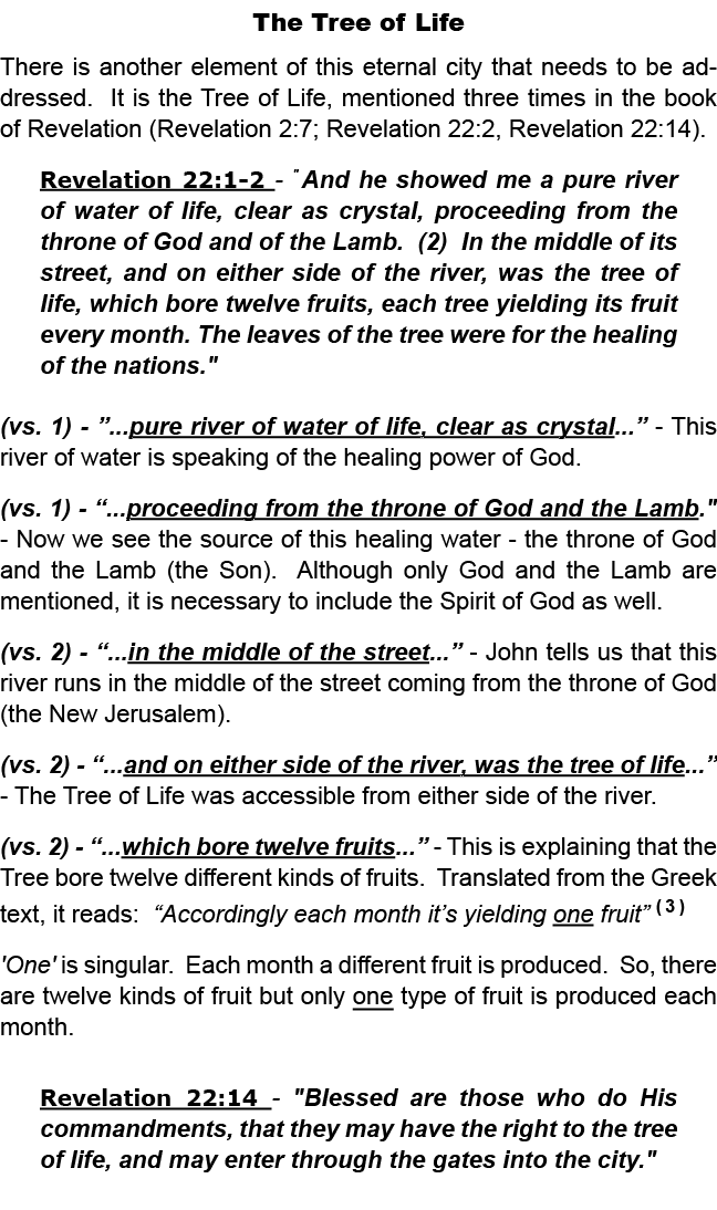 The Tree of Life There is another element of this eternal city that needs to be addressed. It is the Tree of Life, me...