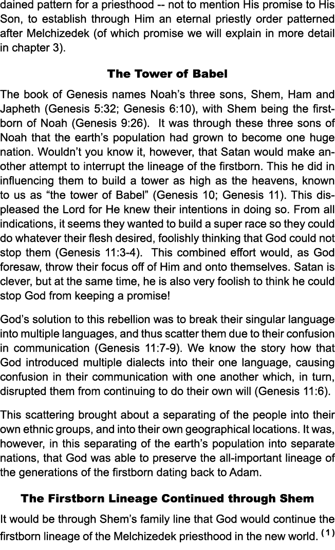 dained pattern for a priesthood not to mention His promise to His Son, to establish through Him an eternal priestly o...