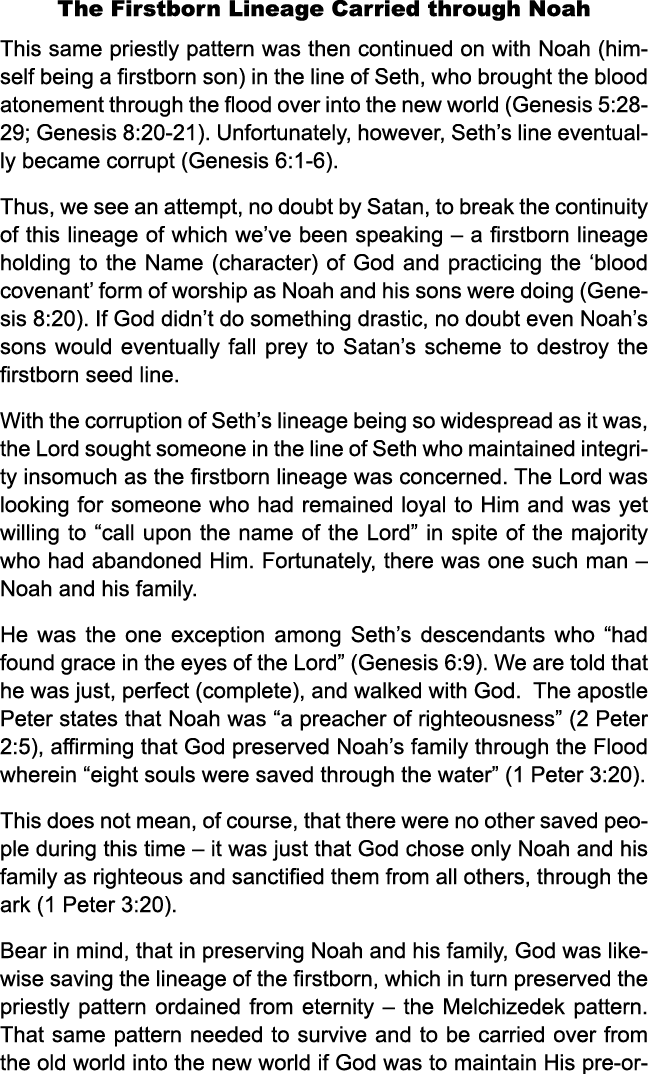 The Firstborn Lineage Carried through Noah This same priestly pattern was then continued on with Noah (himself being ...