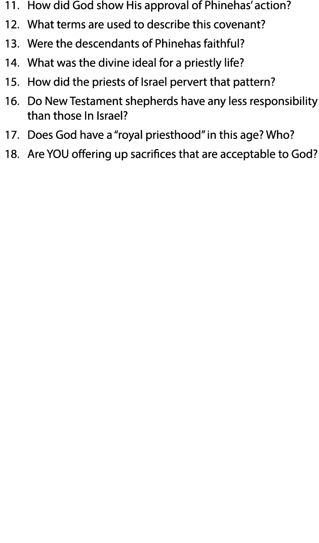 11  How did God show His approval of Phinehas  action  12  What terms are used to describe this covenant  13  Were th   
