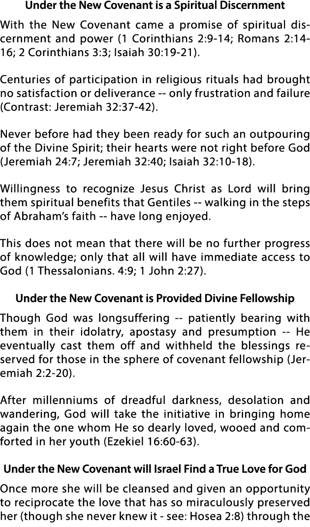 Under the New Covenant is a Spiritual Discernment With the New Covenant came a promise of spiritual discernment and p   