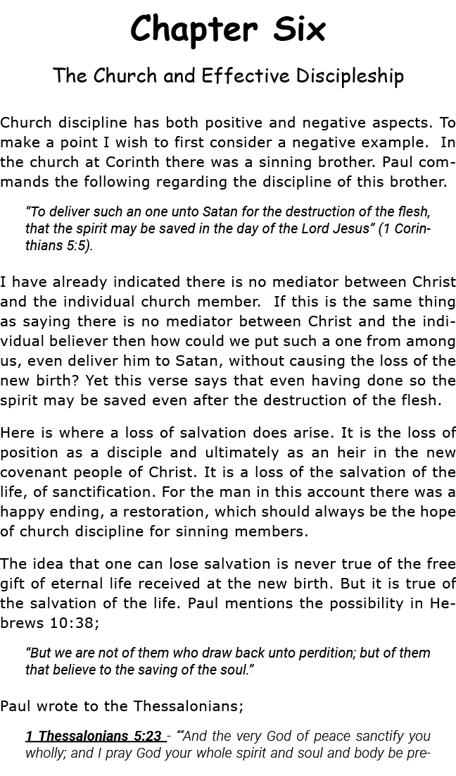 Chapter Six The Church and Effective Discipleship Church discipline has both positive and negative aspects  To make a   